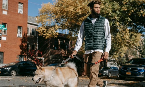 a man walking a dog on a leash
