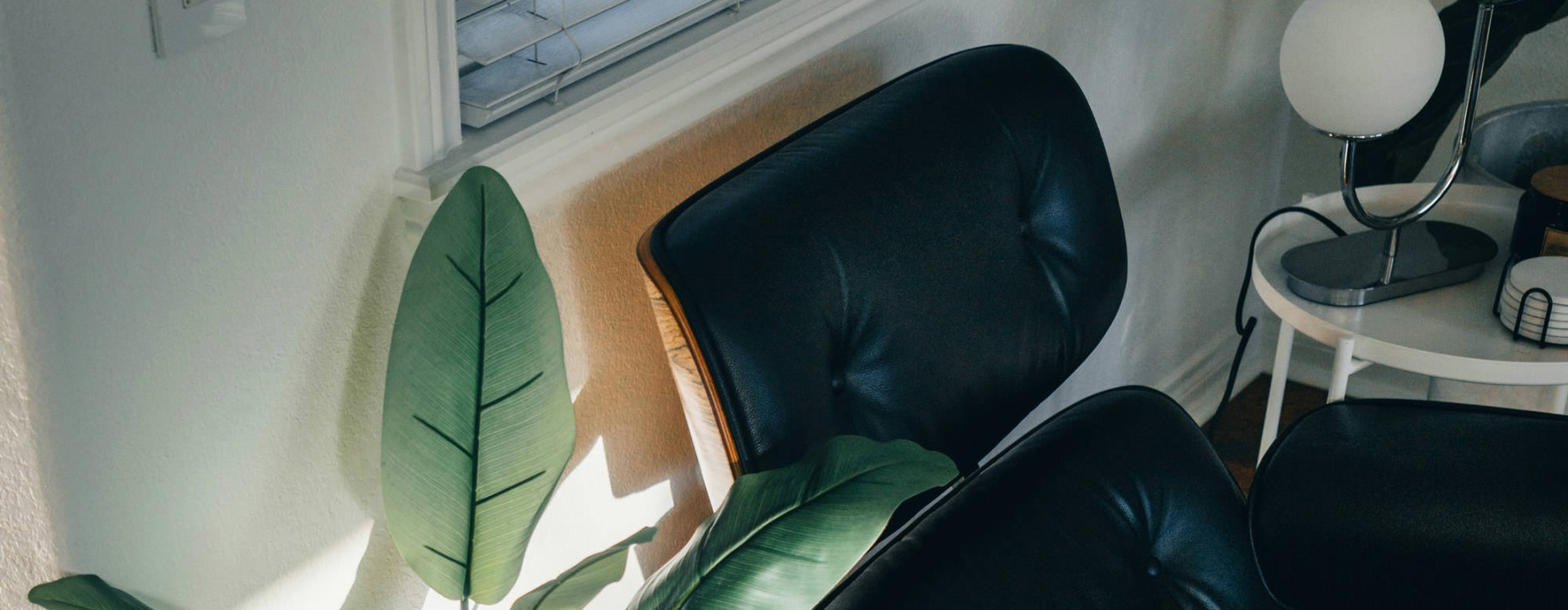 a plant in a pot next to a chair and a plant