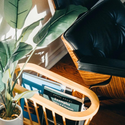 a plant in a pot next to a chair and a plant